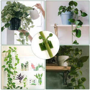 Self-Adhesive Plant Climbing Wall Clips: Vine and Money Plant Support